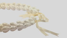 Load image into Gallery viewer, Bridesmaid White Shell Necklace - ARGONAUTS Collection