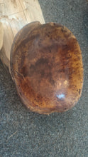 Load image into Gallery viewer, Antique Swedish Root Bowl, Hand-Turned, Thin-Walled, Rare 1868