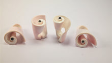 Load image into Gallery viewer, The Conch Shell Rings - ARGONAUTS Collection