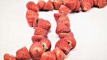 Load image into Gallery viewer, Red Shell Necklace