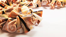 Load image into Gallery viewer, ARGONAUTS Collection - Beautiful Aesthetic Spiral Pattern Shell Necklace