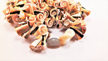 Load image into Gallery viewer, ARGONAUTS Collection - Beautiful Aesthetic Spiral Pattern Shell Necklace