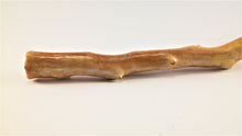 Load image into Gallery viewer, Real Deep Sea Golden Coral – Large Untreated Raw Specimen / Natural Golden Coral Branch