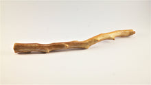 Load image into Gallery viewer, Real Deep Sea Golden Coral – Large Untreated Raw Specimen / Natural Golden Coral Branch