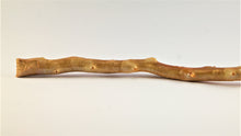 Load image into Gallery viewer, Real Deep Sea Golden Coral – Large Untreated Raw Specimen / Natural Golden Coral Branch