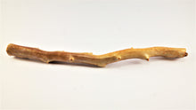 Load image into Gallery viewer, Raw untreated golden coral branch specimen from deep sea, real museum-grade coral for collectors and gemology enthusiasts