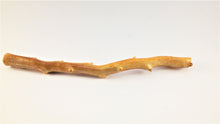 Load image into Gallery viewer, Real Deep Sea Golden Coral – Large Untreated Raw Specimen / Natural Golden Coral Branch