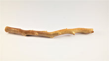 Load image into Gallery viewer, Real Deep Sea Golden Coral – Large Untreated Raw Specimen / Natural Golden Coral Branch