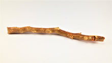 Load image into Gallery viewer, Real Deep Sea Golden Coral – Large Untreated Raw Specimen / Natural Golden Coral Branch