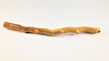 Load image into Gallery viewer, Real Deep Sea Golden Coral – Large Untreated Raw Specimen / Natural Golden Coral Branch