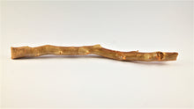Load image into Gallery viewer, Real Deep Sea Golden Coral – Large Untreated Raw Specimen / Natural Golden Coral Branch