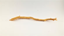 Load image into Gallery viewer, Real Deep Sea Golden Coral – Large Untreated Raw Specimen / Natural Golden Coral Branch