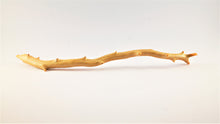 Load image into Gallery viewer, Real Deep Sea Golden Coral – Large Untreated Raw Specimen / Natural Golden Coral Branch