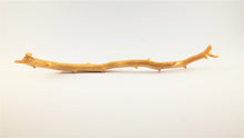 Load image into Gallery viewer, Real Deep Sea Golden Coral – Large Untreated Raw Specimen / Natural Golden Coral Branch