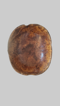 Load image into Gallery viewer, Antique Swedish Root Bowl, Hand-Turned, Thin-Walled, Rare 1868
