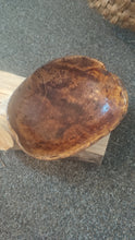 Load image into Gallery viewer, Antique Swedish Root Bowl, Hand-Turned, Thin-Walled, Rare 1868

