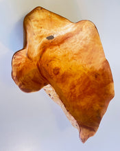 Load image into Gallery viewer, Large Swedish Birch Burl Knot Bowl

