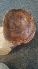 Load image into Gallery viewer, Antique Swedish Root Bowl, Hand-Turned, Thin-Walled, Rare 1868
