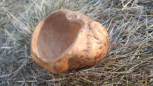 Load image into Gallery viewer, Swedish Burl Knot Bowl
