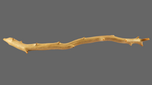 Load image into Gallery viewer, Raw untreated golden coral branch specimen from deep sea, real museum-grade coral for collectors and gemology enthusiasts
