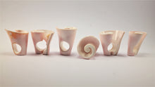 Load image into Gallery viewer, The Conch Shell Rings - ARGONAUTS Collection
