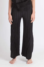 Load image into Gallery viewer, one-size-fits-all Pleated Pants
