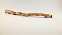 Load image into Gallery viewer, Out of the Ordinary Thick Specimen of Deep Sea Gold Coral
