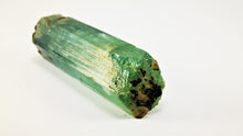 Load image into Gallery viewer, Fine Aquamarine Bicolor Specimen
