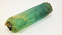 Load image into Gallery viewer, Fine Aquamarine Bicolor Specimen
