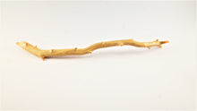 Load image into Gallery viewer, Real Deep Sea Golden Coral – Large Untreated Raw Specimen / Natural Golden Coral Branch
