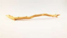 Load image into Gallery viewer, Real Deep Sea Golden Coral – Large Untreated Raw Specimen / Natural Golden Coral Branch
