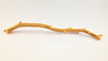 Load image into Gallery viewer, Raw untreated golden coral branch specimen from deep sea, real museum-grade coral for collectors and gemology enthusiasts
